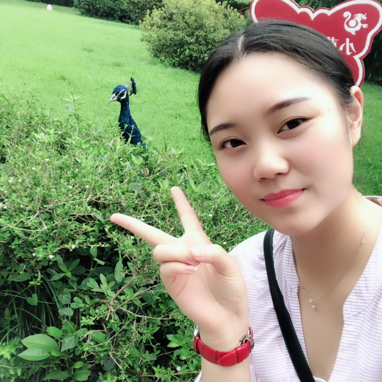 ✌️的照片