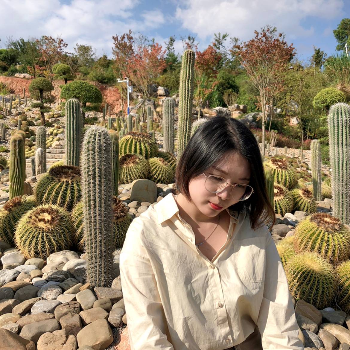 秋莉的照片