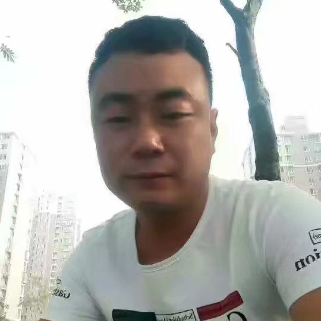 花卷的轻松的照片