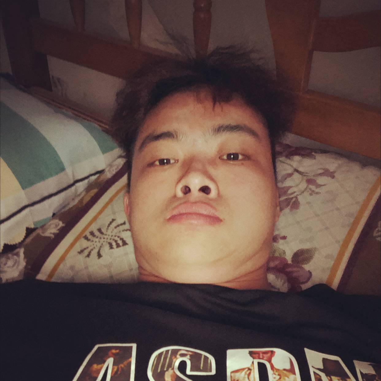 枫叶的顺利的照片