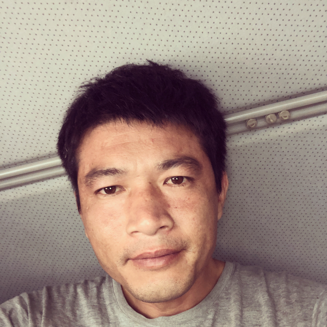 等待的虫的照片
