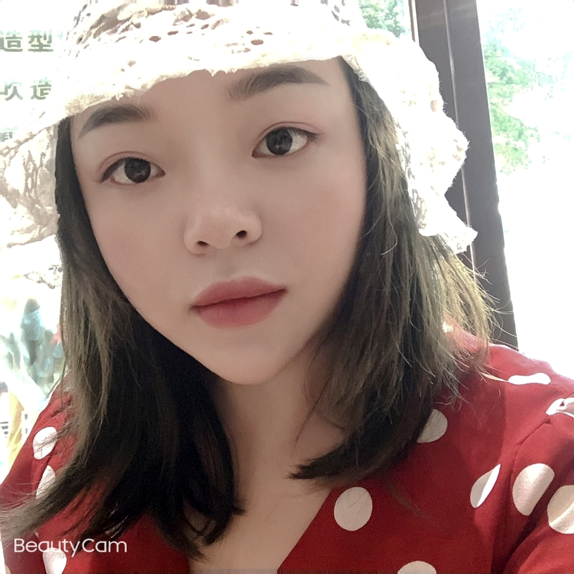 羽毛温婉的照片