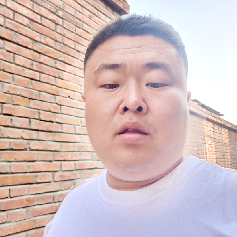 蛋挞放弃任性的照片