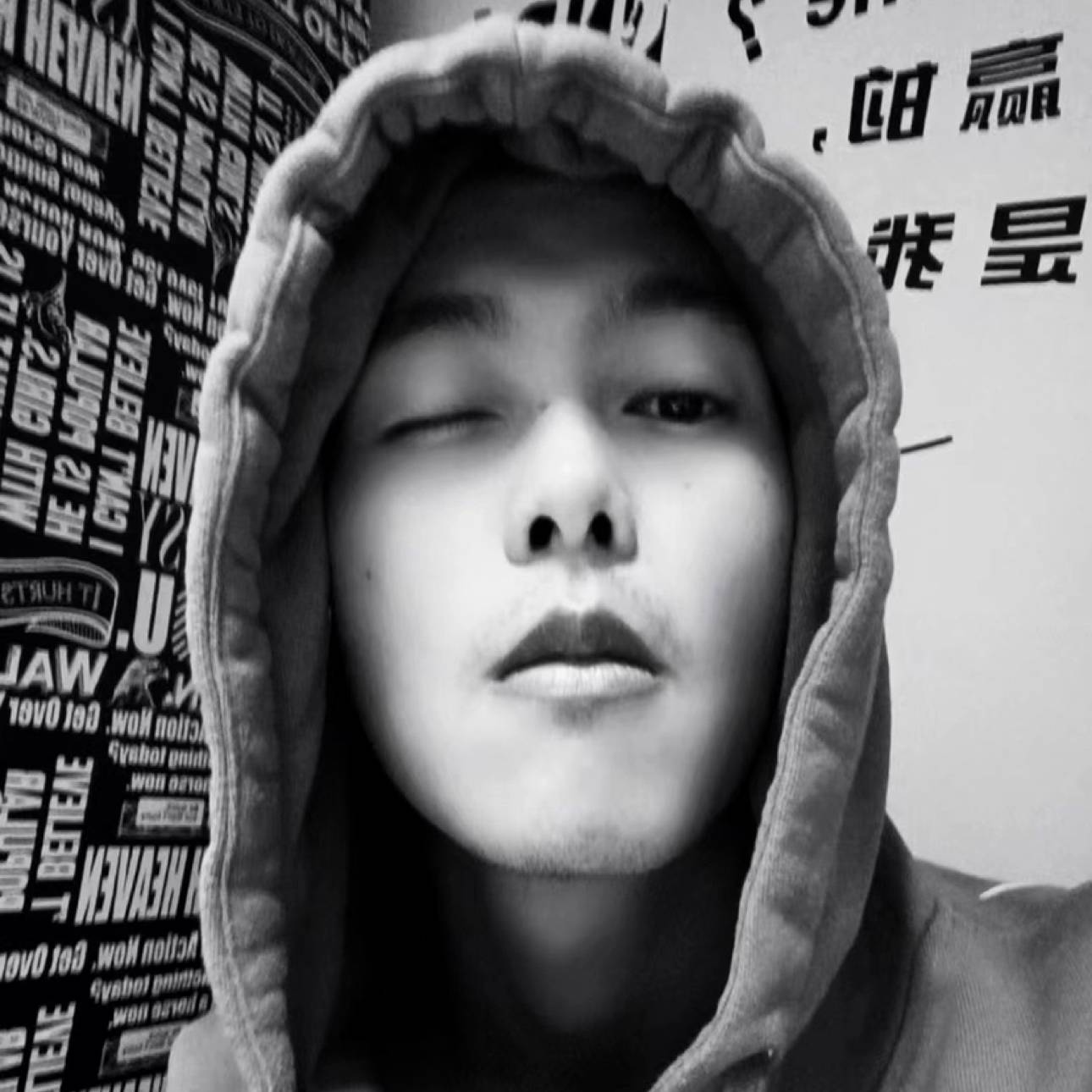 眠羊的照片