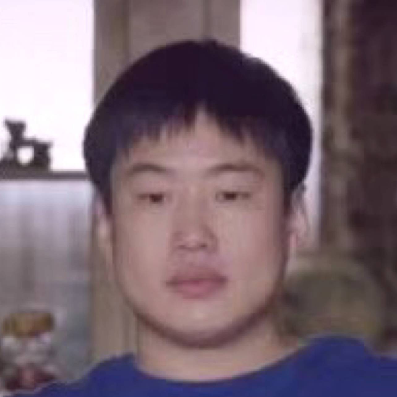 追寻苦恋枫叶的照片