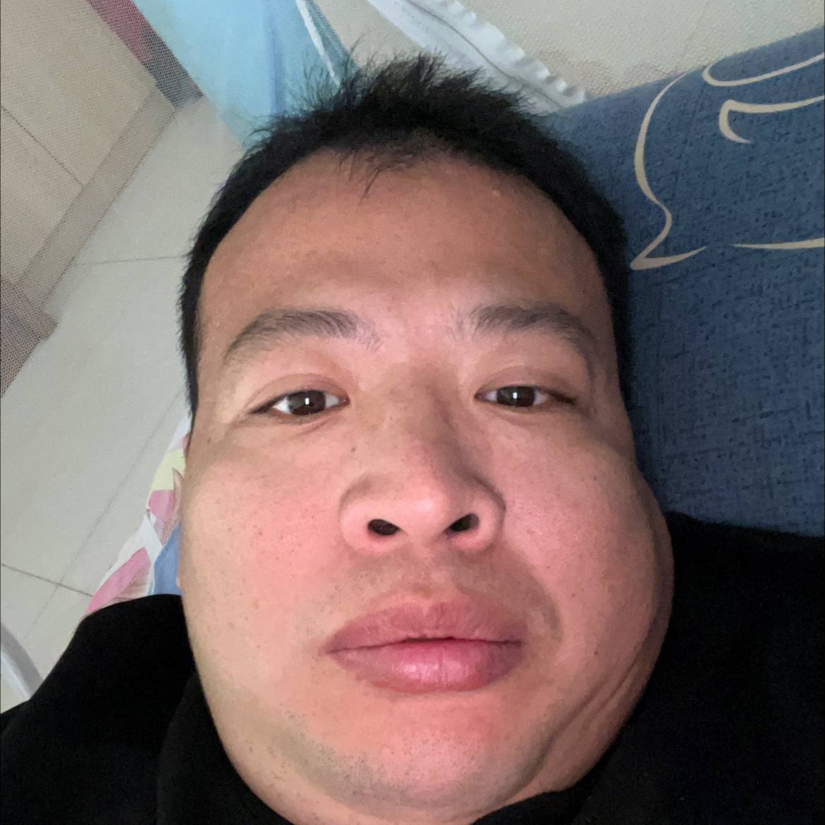 哭泣抽屉的老虎的照片