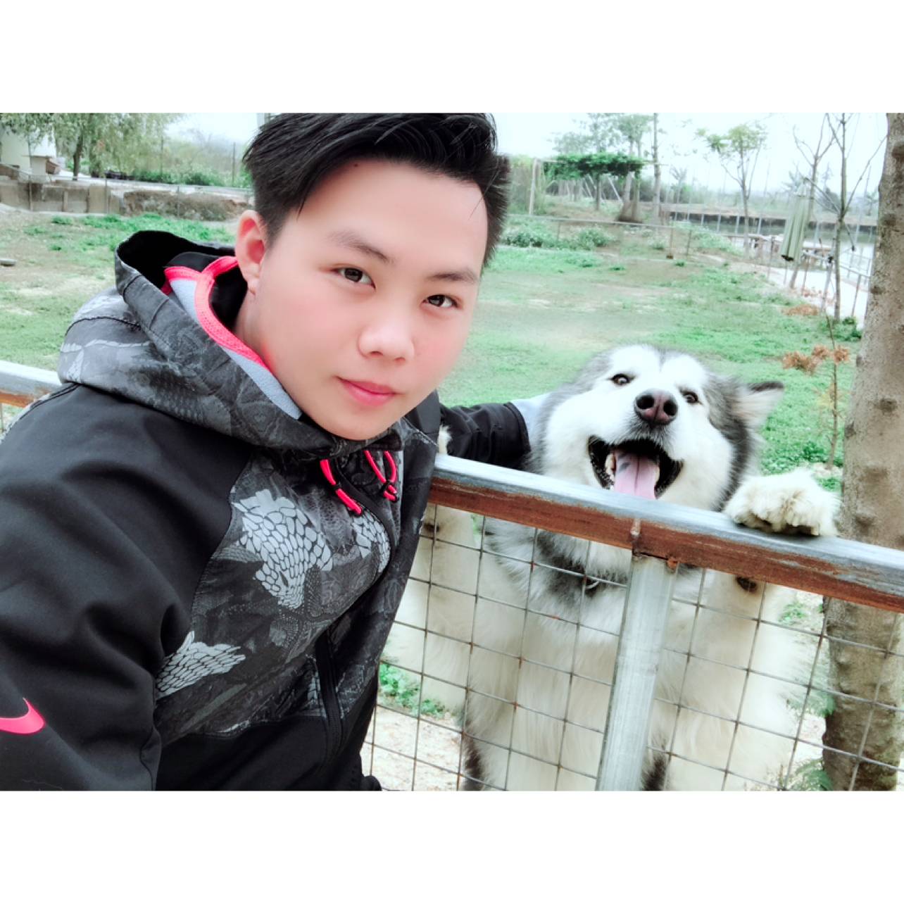 花生回眸拉长的照片