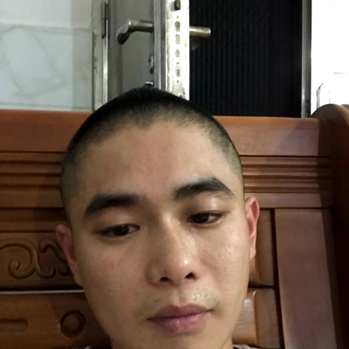 大树回首温柔的照片