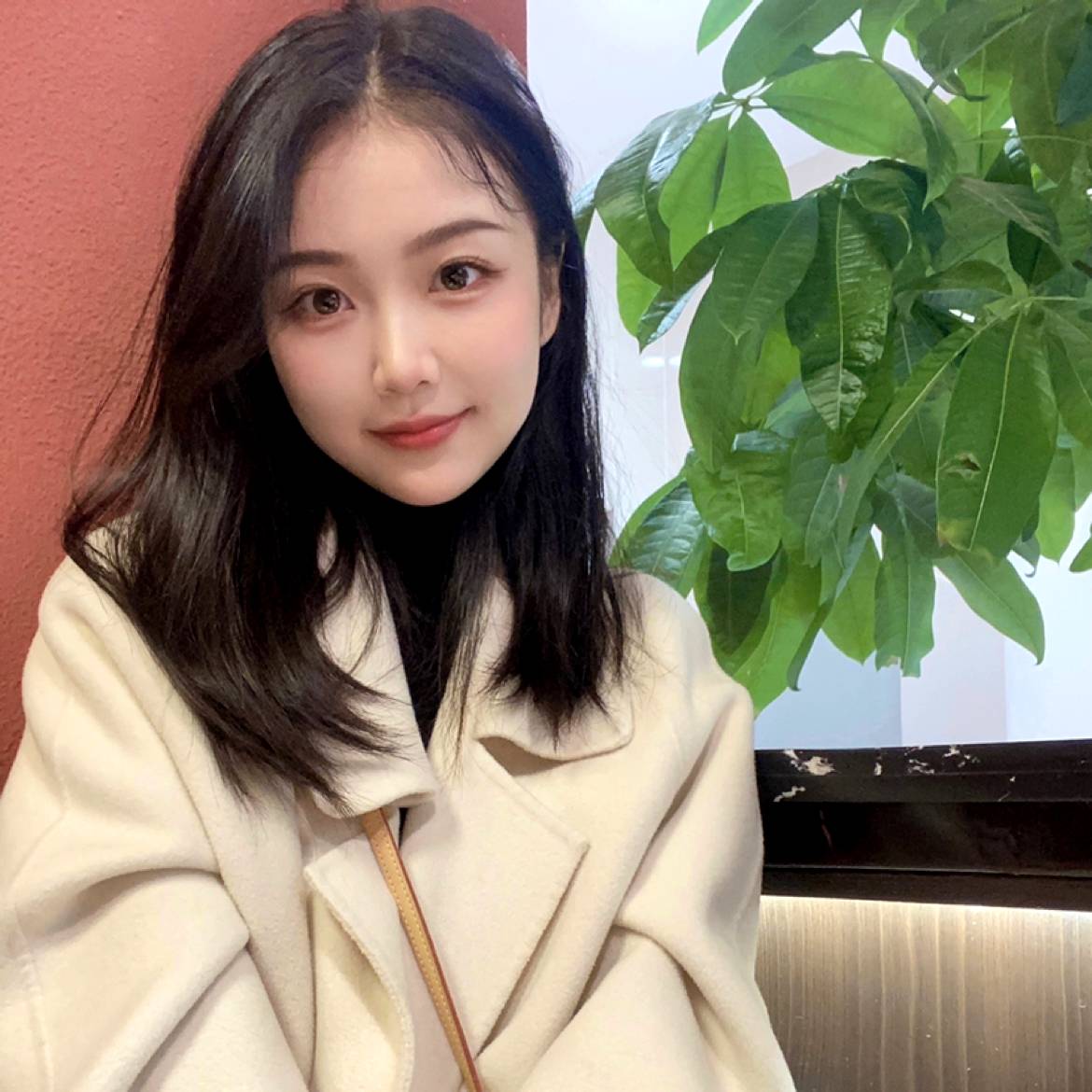 陈婉婷的照片