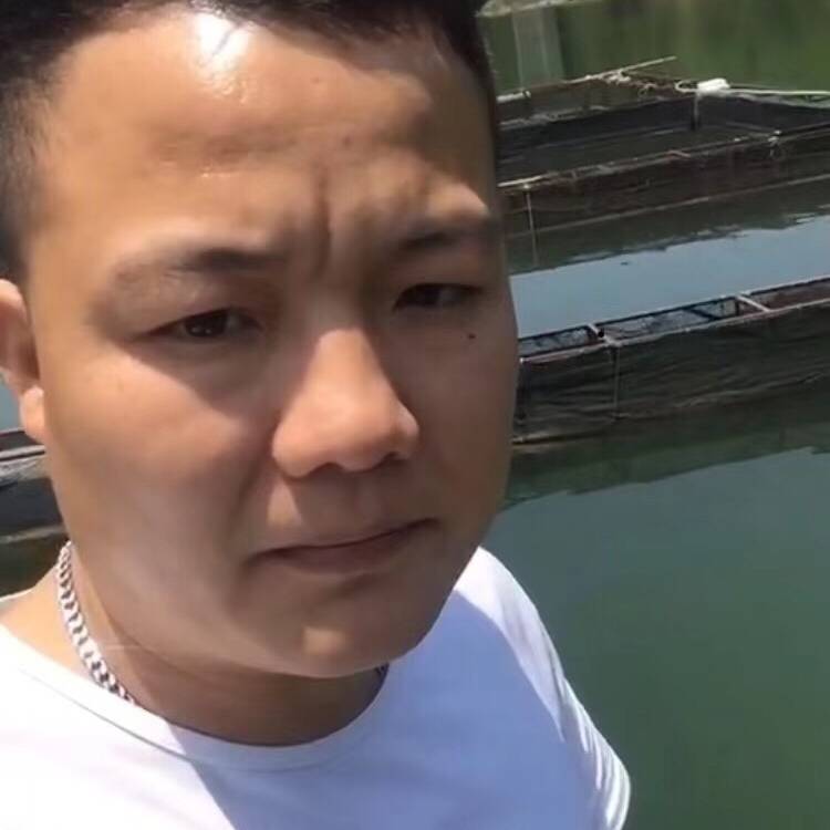 开放方星雨的照片