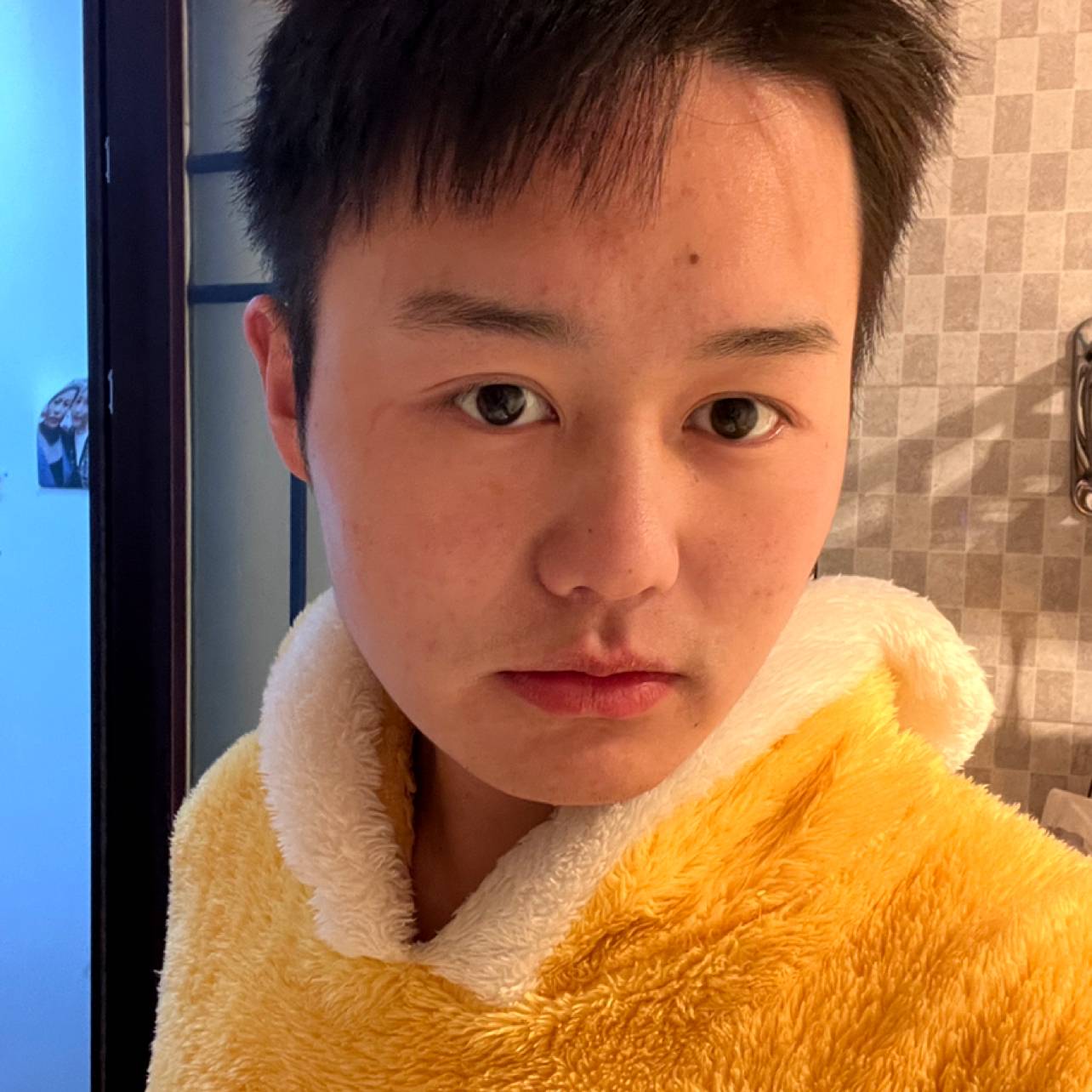 凡熊的照片