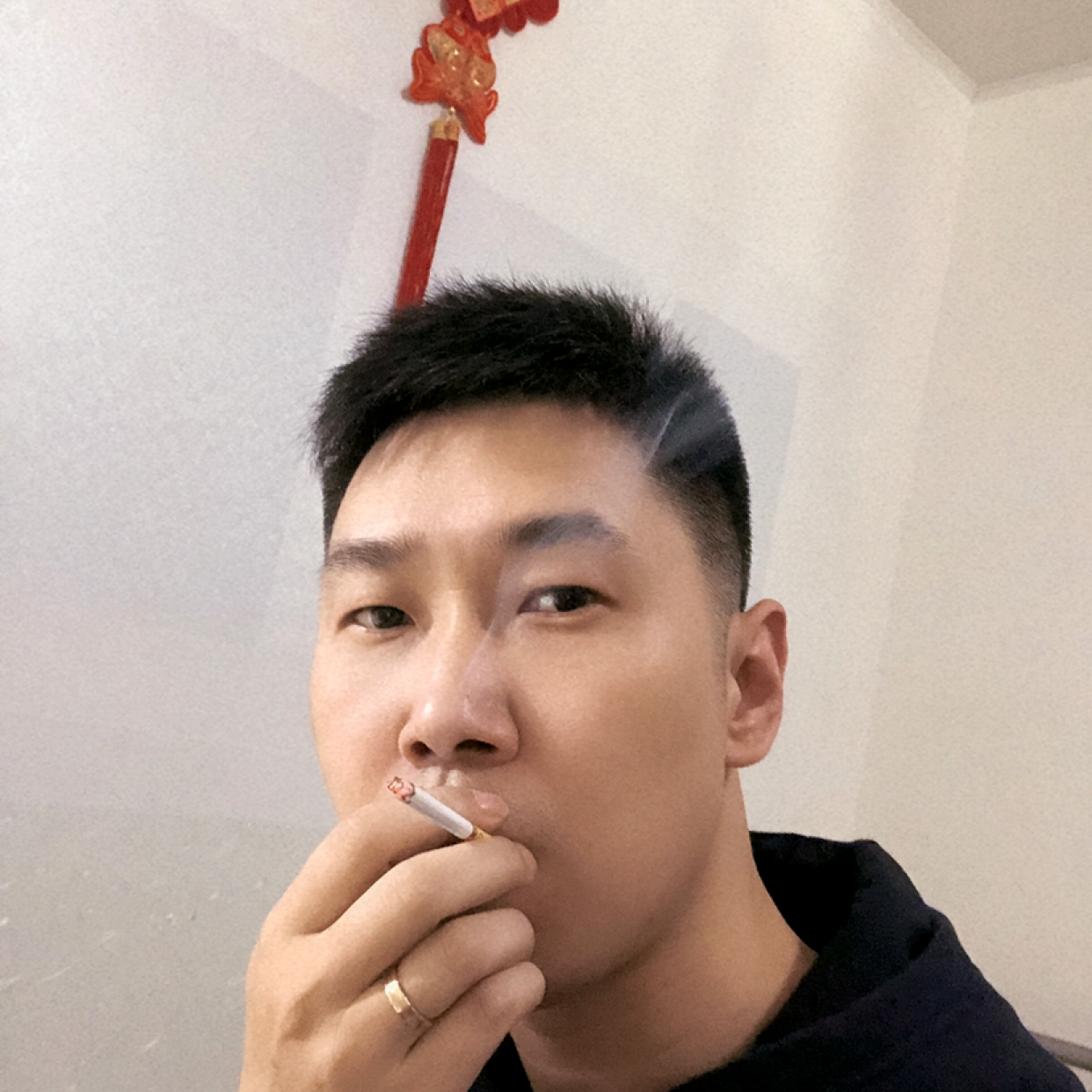 阳阳得意的照片