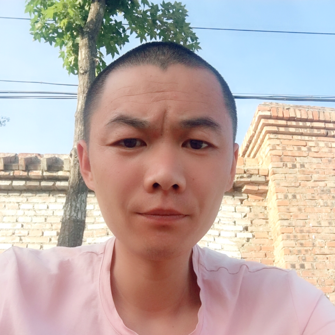 为你我愿背叛世界的照片