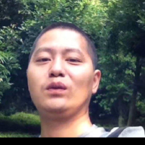 活力：向日葵的照片