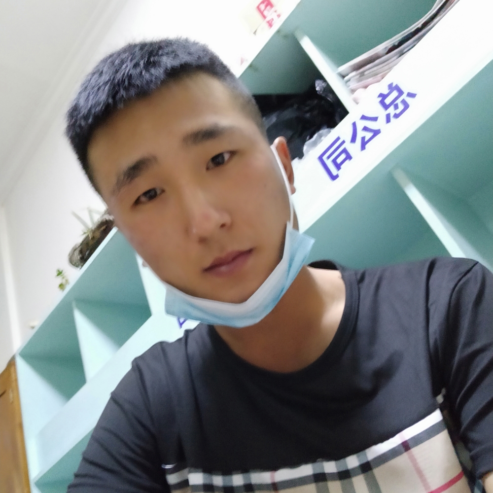红玫瑰漫步贪玩的照片