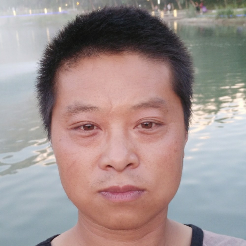 勤劳网络的照片