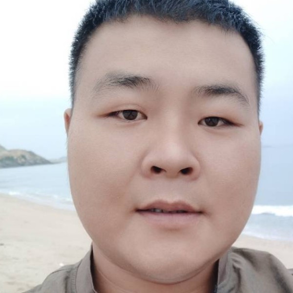 怕孤独用灰狼的照片