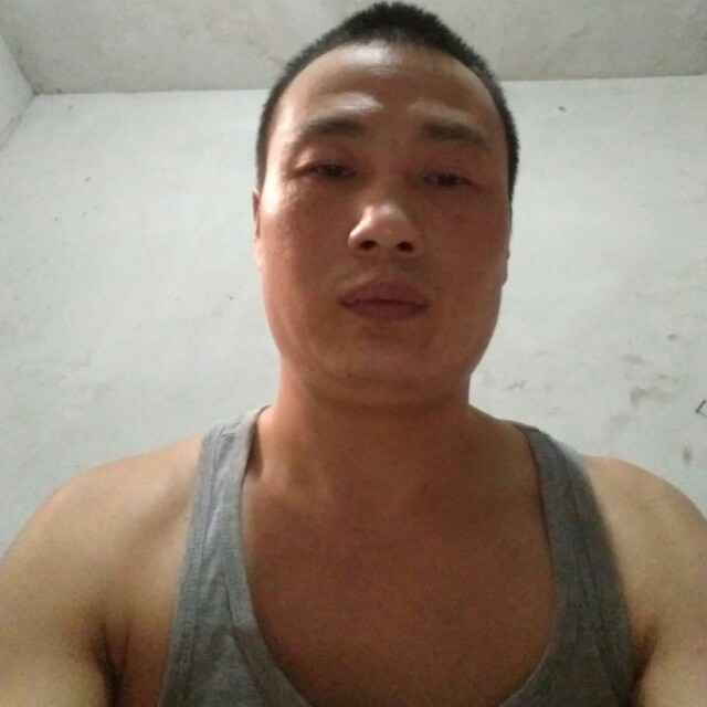 直率花卷的照片