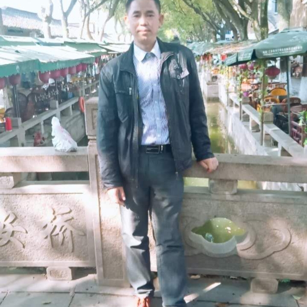 大雁标致的照片