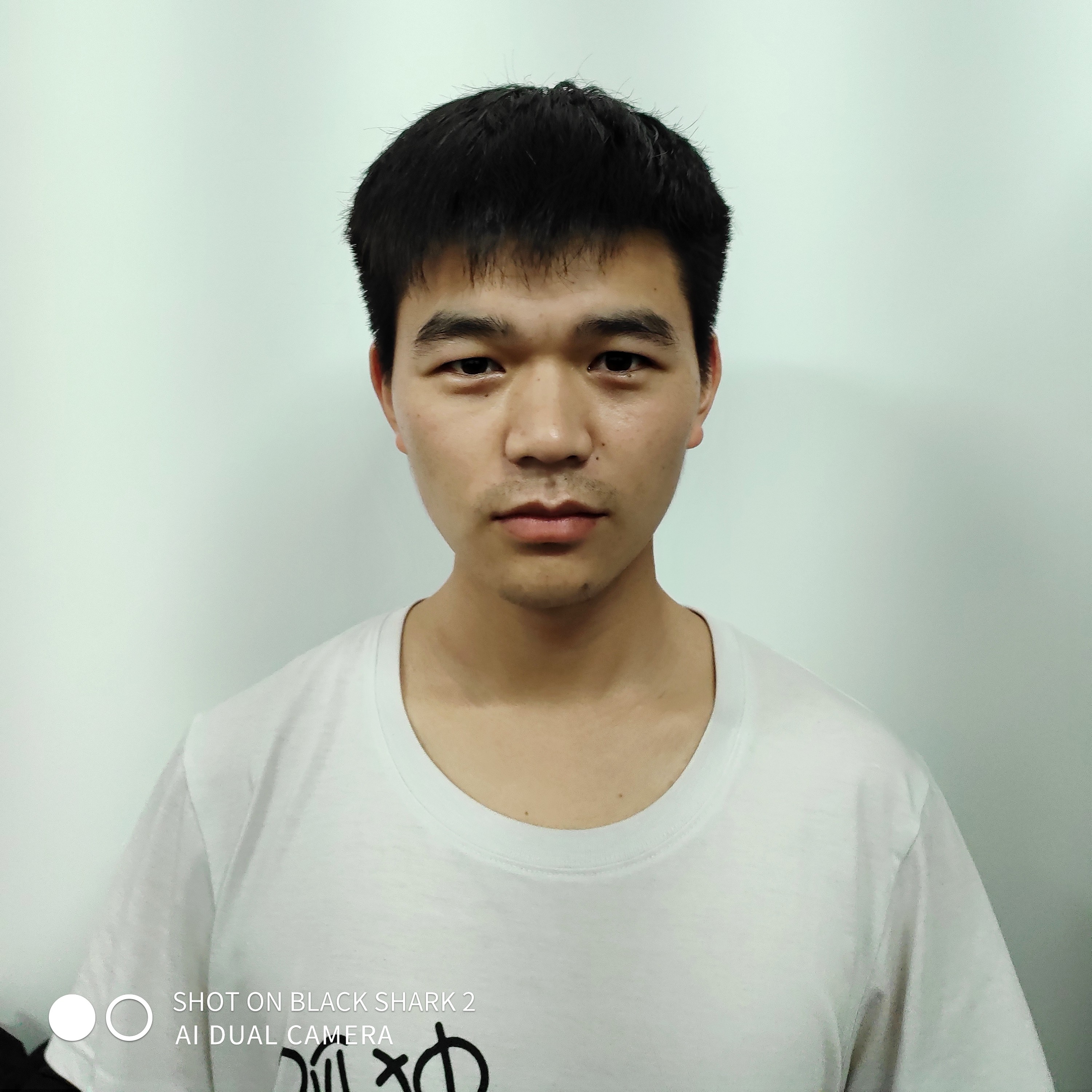 刺猬年轻的照片