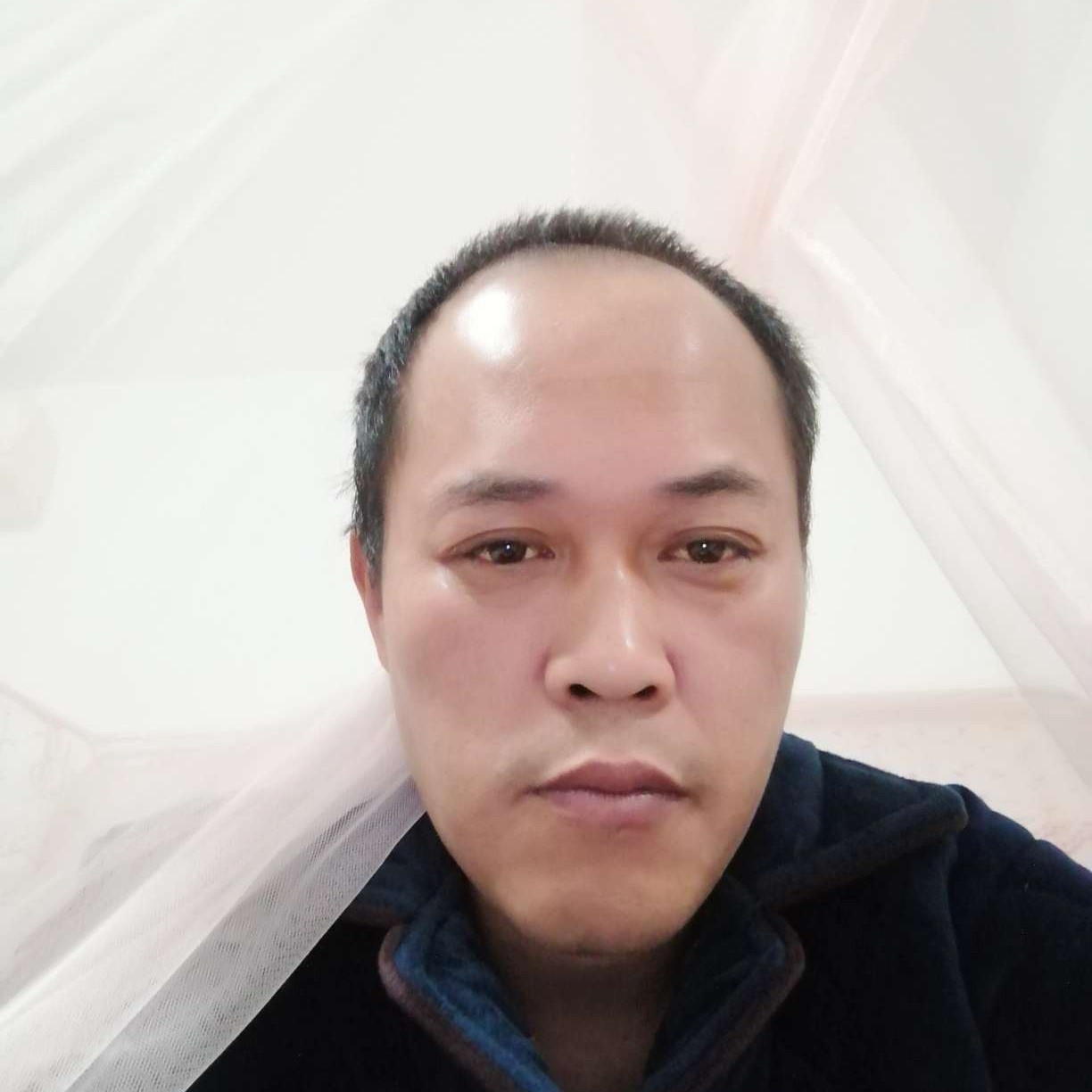 酷酷放弃缥缈的照片