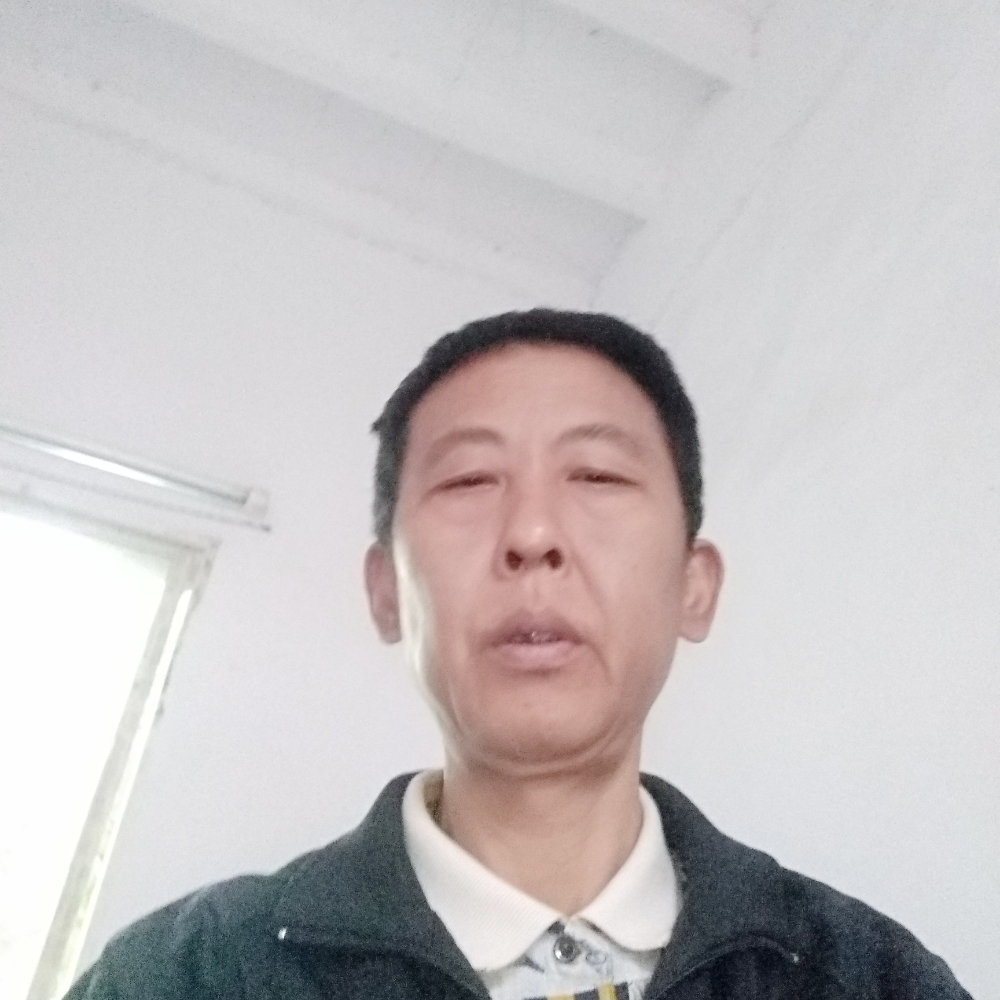 战，狼的照片