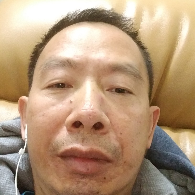 好奇的灰太狼的照片