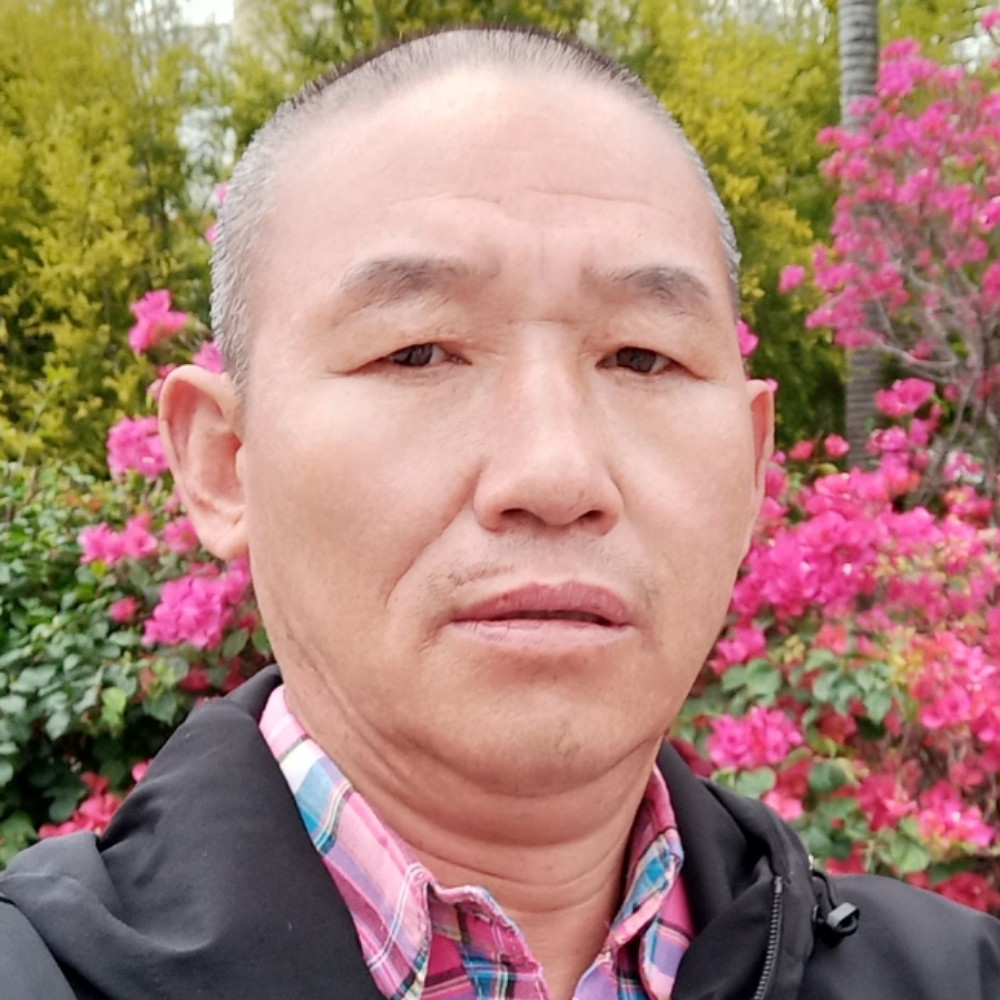 飘泊的落叶的照片