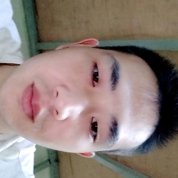 钢笔回眸鲤鱼的照片