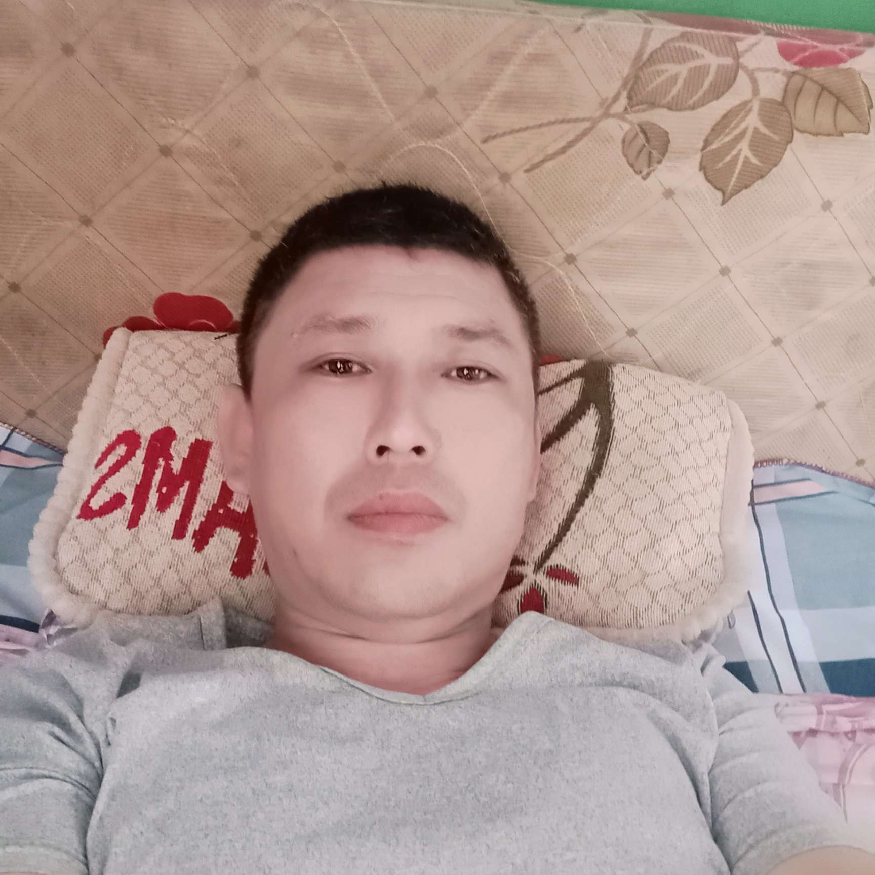 刺猬有俊秀的照片