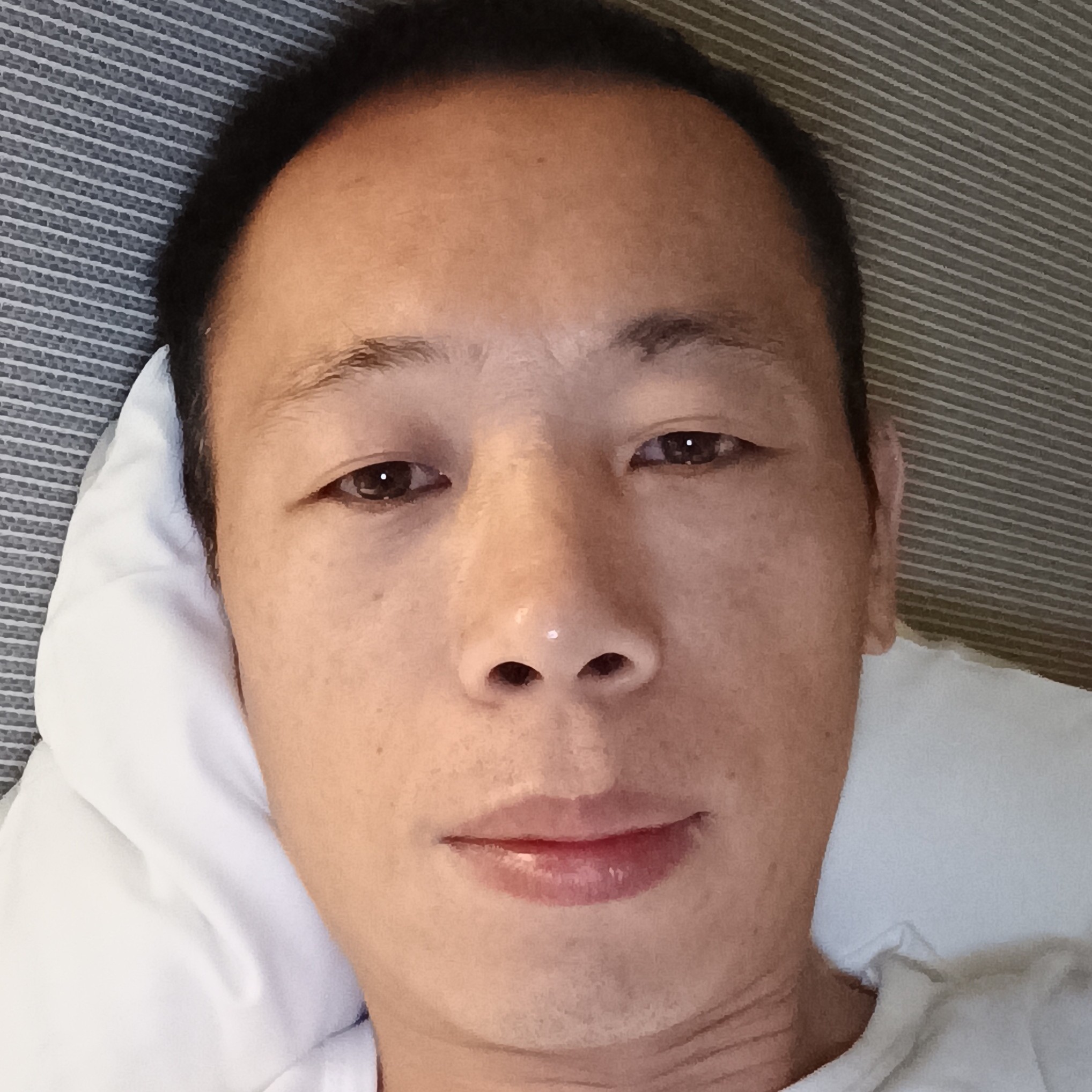 小蚂蚁闻激昂的照片