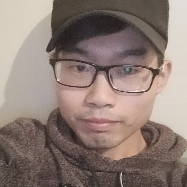 俭朴的野狼的照片