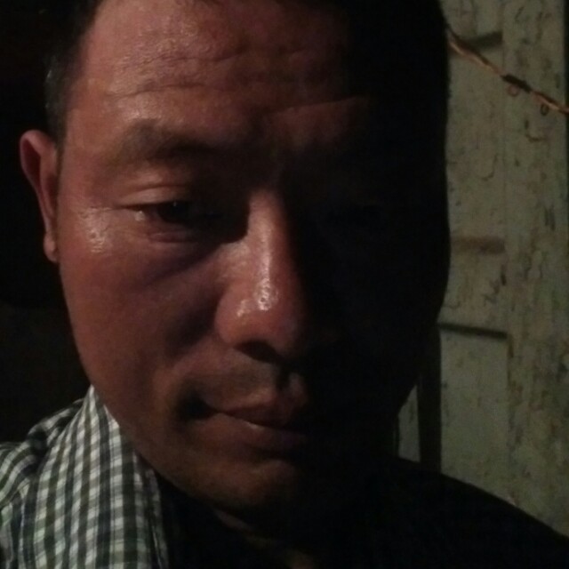 个性浅吻金毛的照片