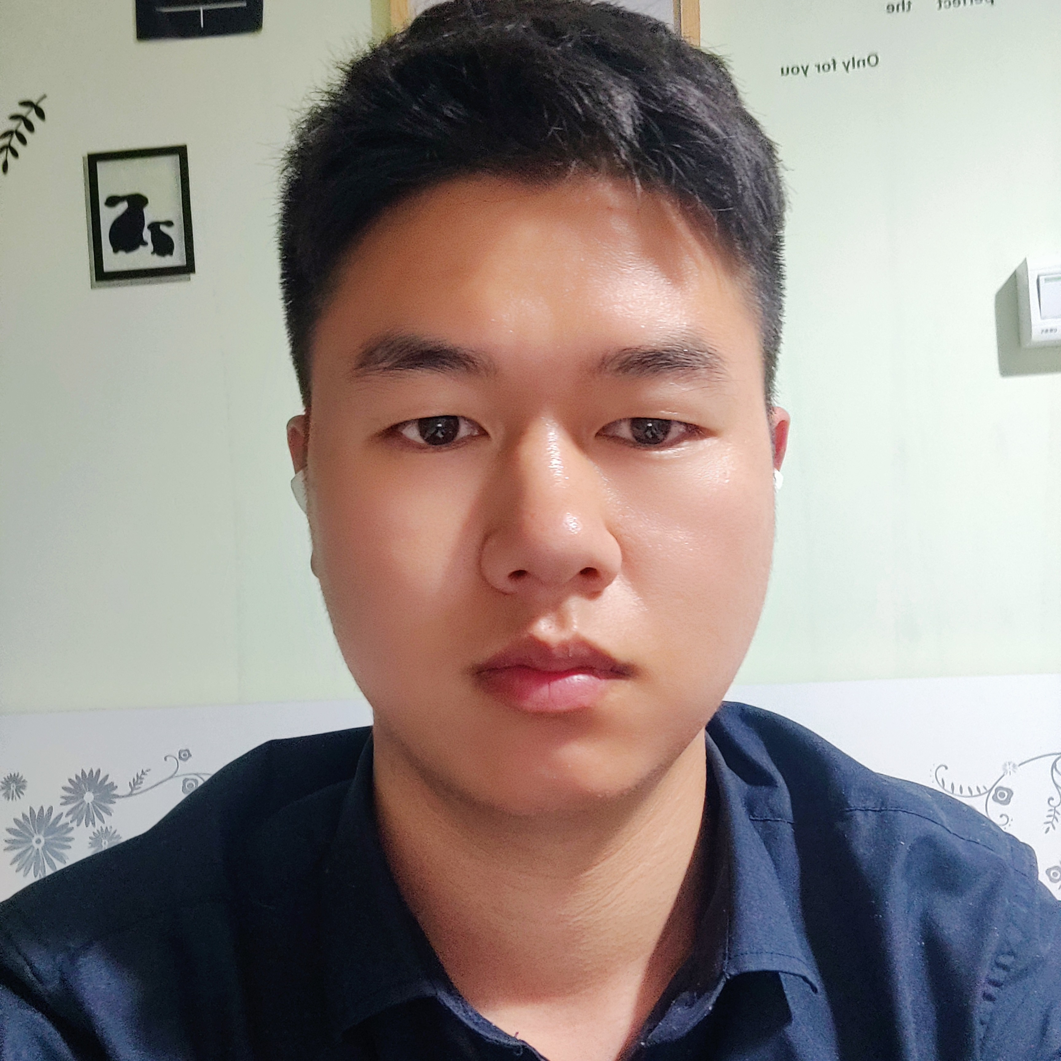 淡石的照片