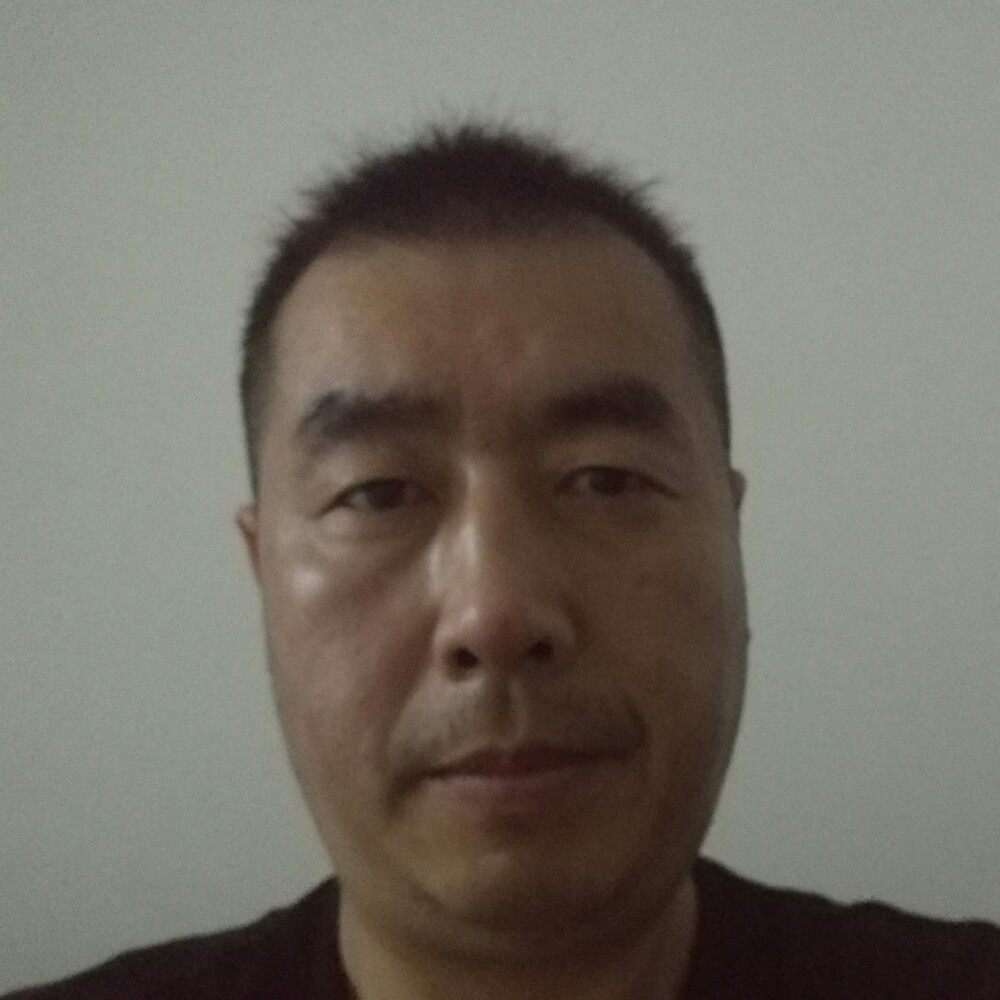不出众的蚊子的照片