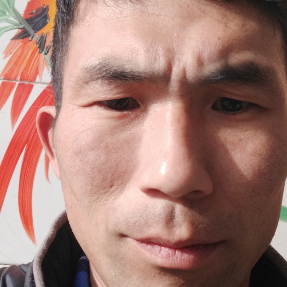 西安浅吻笨笨的照片