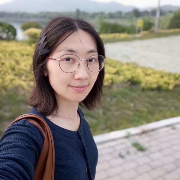 银杏和天空的照片