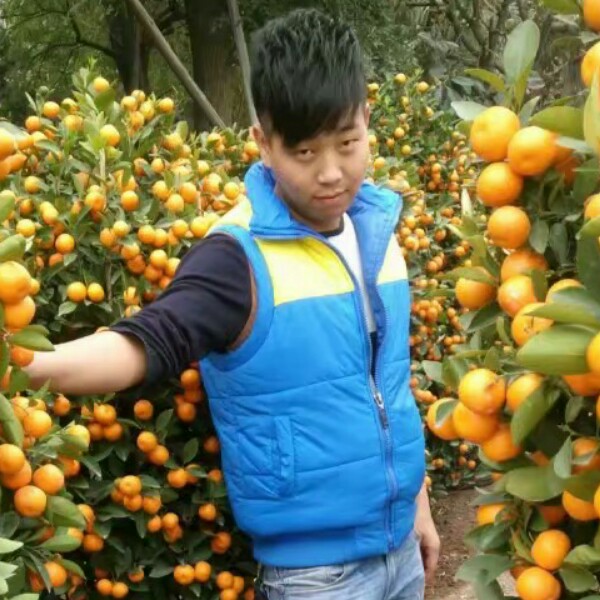游行天下的照片
