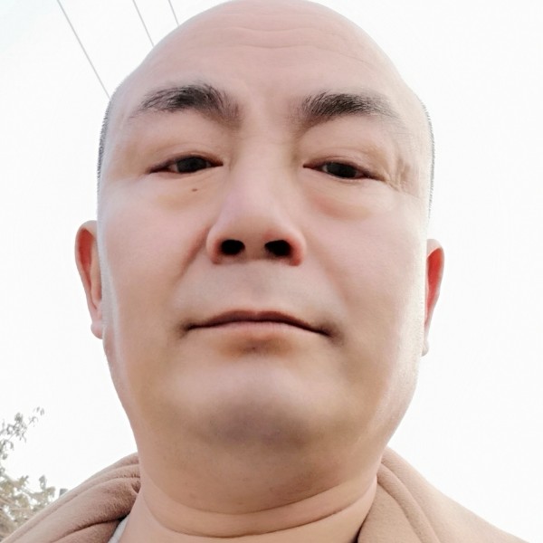 战斗机停止俏皮的照片