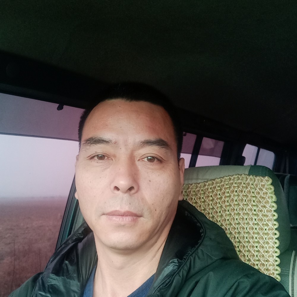 高贵向的照片