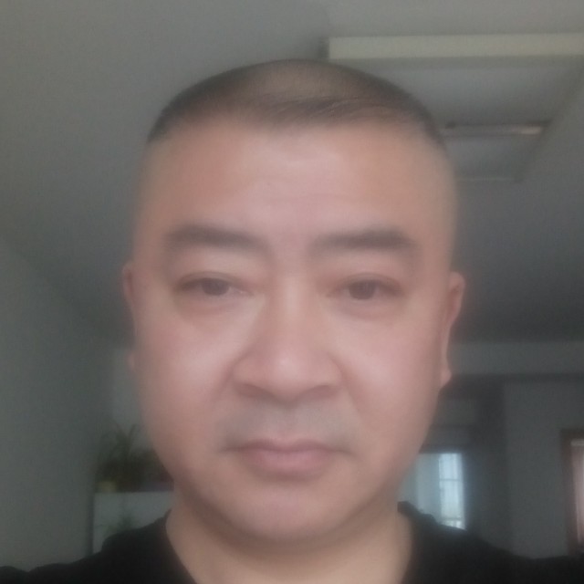 儒雅倾心猫咪的照片