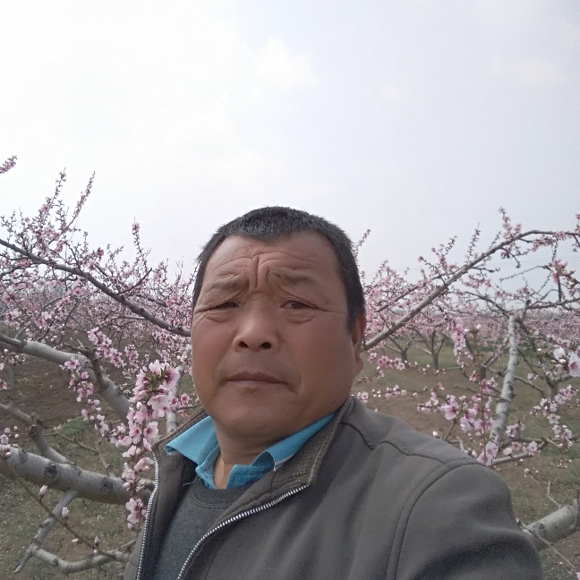 石头动听的照片