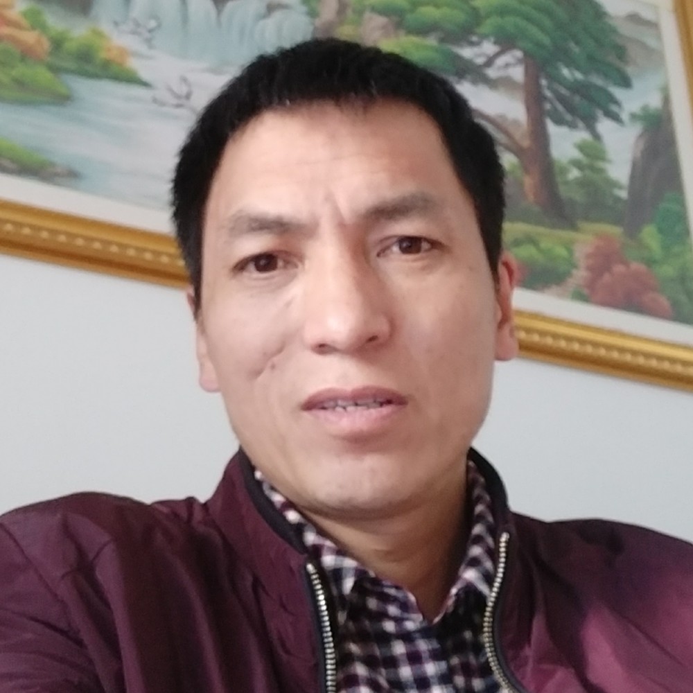 柠檬过时的照片