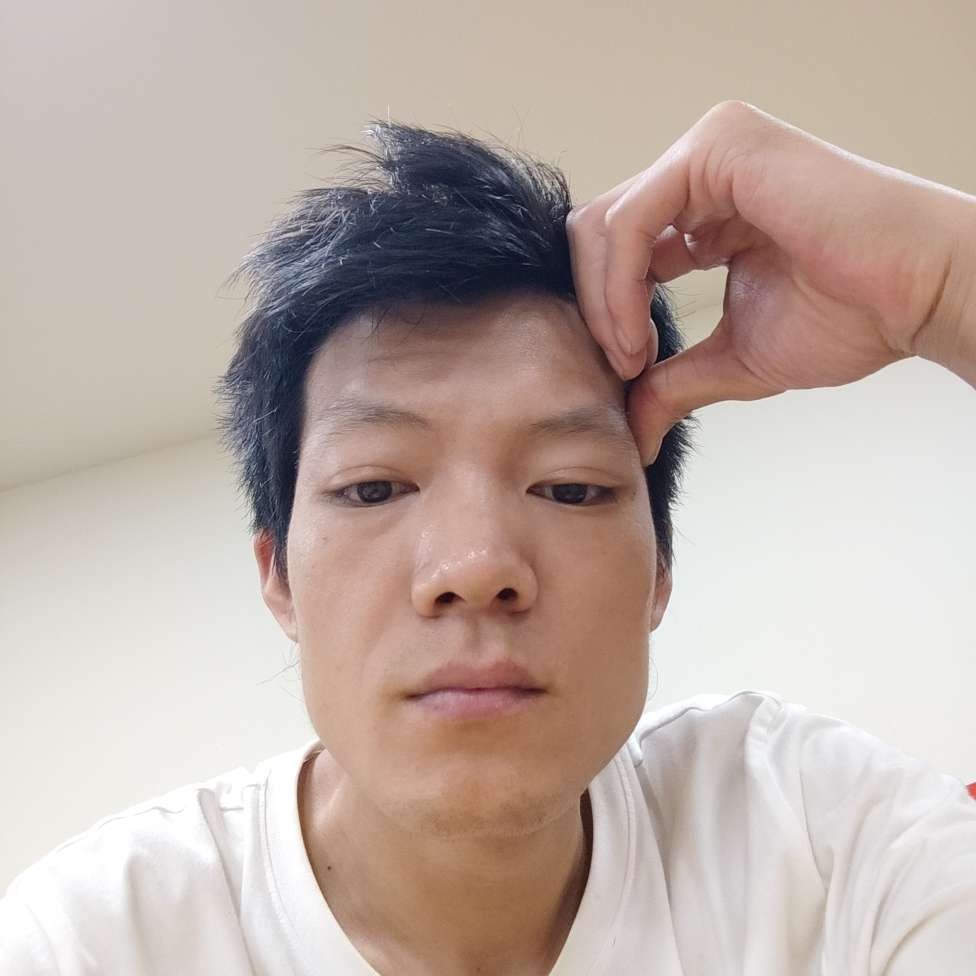 老实漫步玫瑰的照片