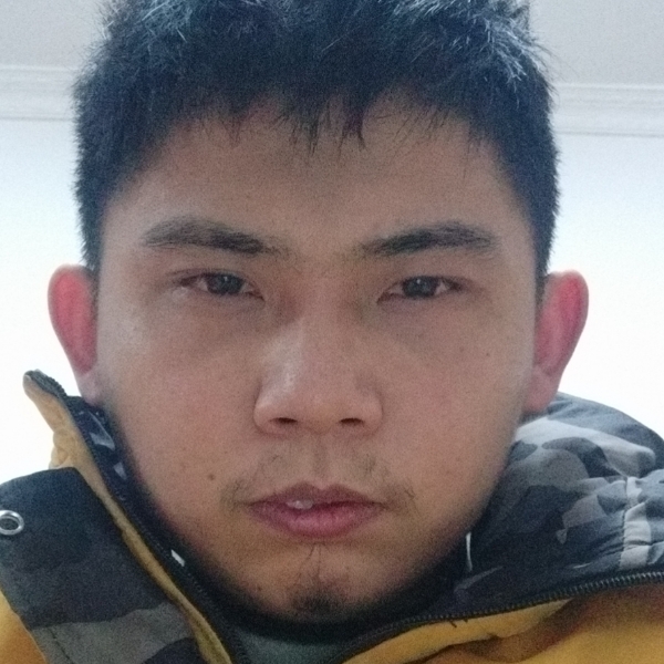 小海豚多么昏睡的照片