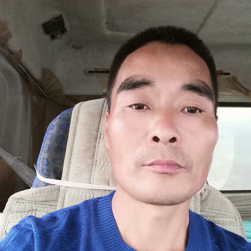 龙行天下大的照片