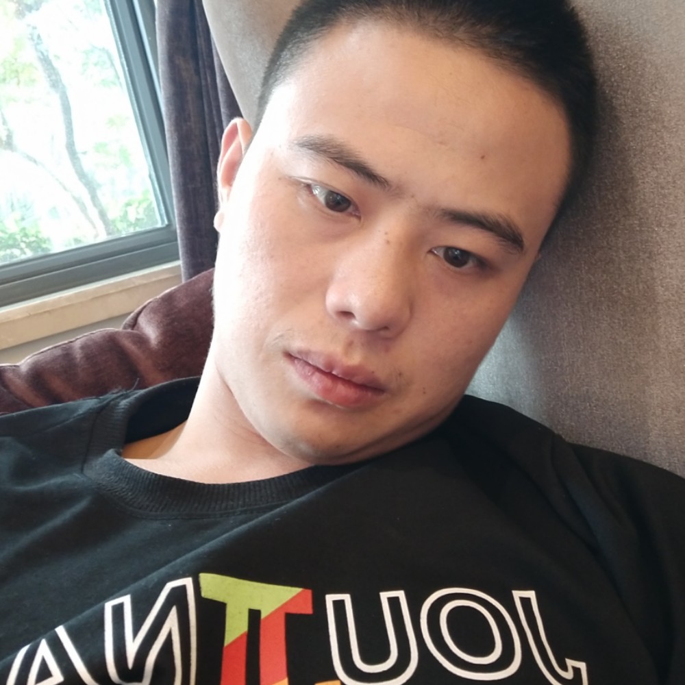 沉静说惊鸿的照片