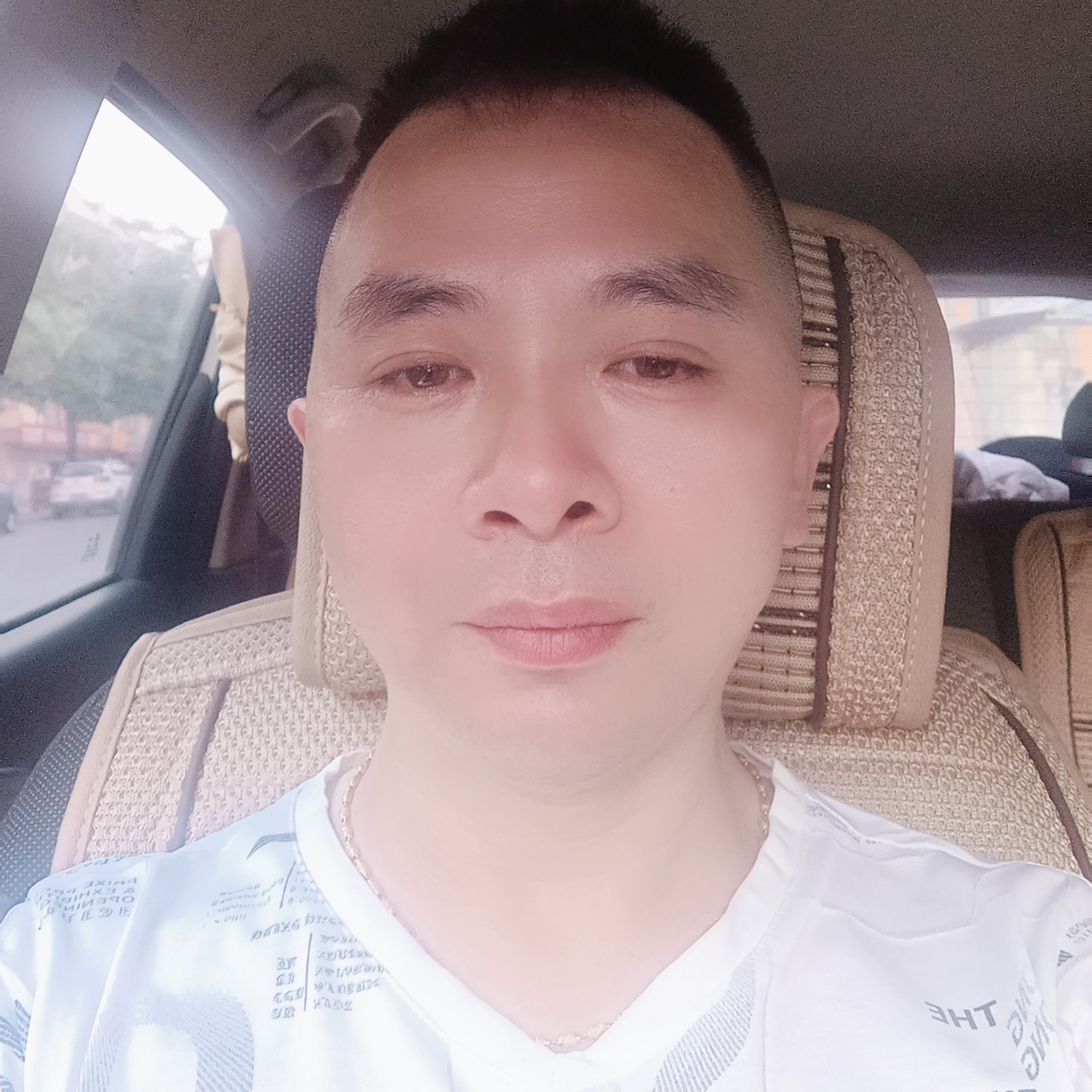 沉默西牛717的照片