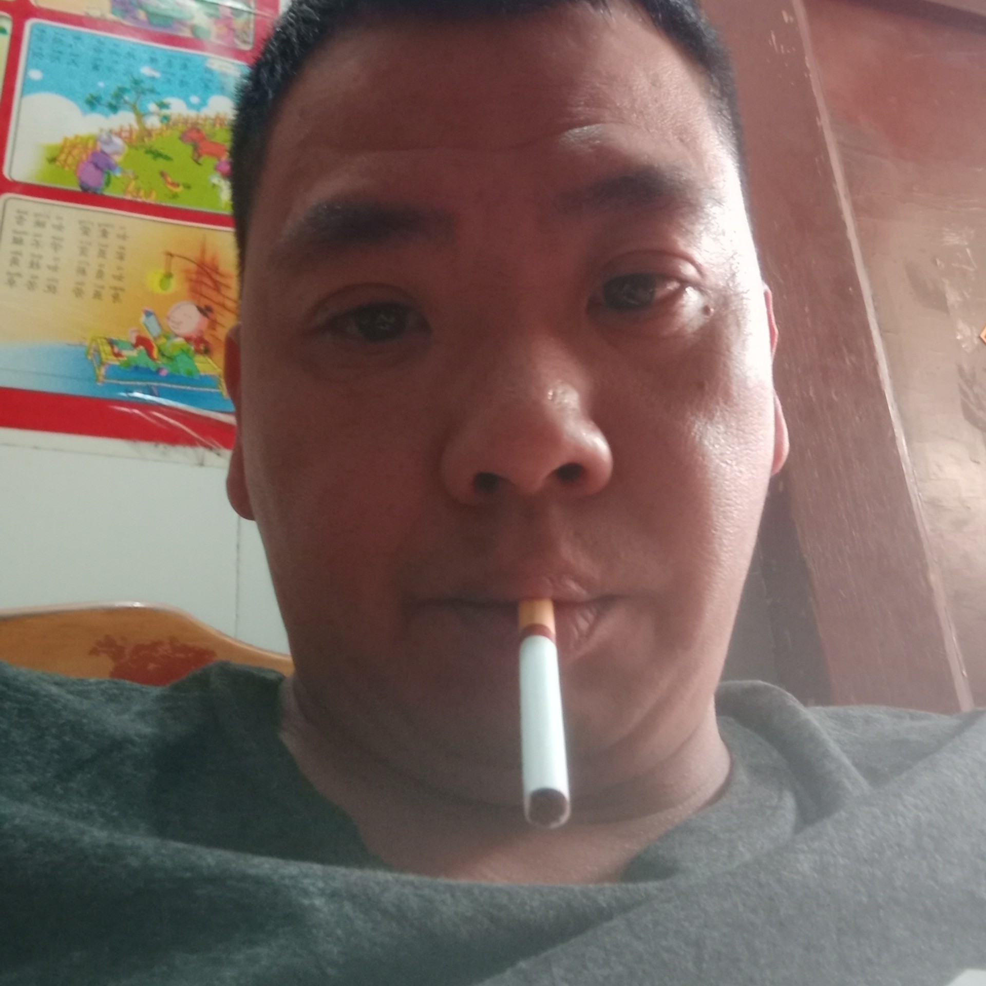 沉静方香菇的照片