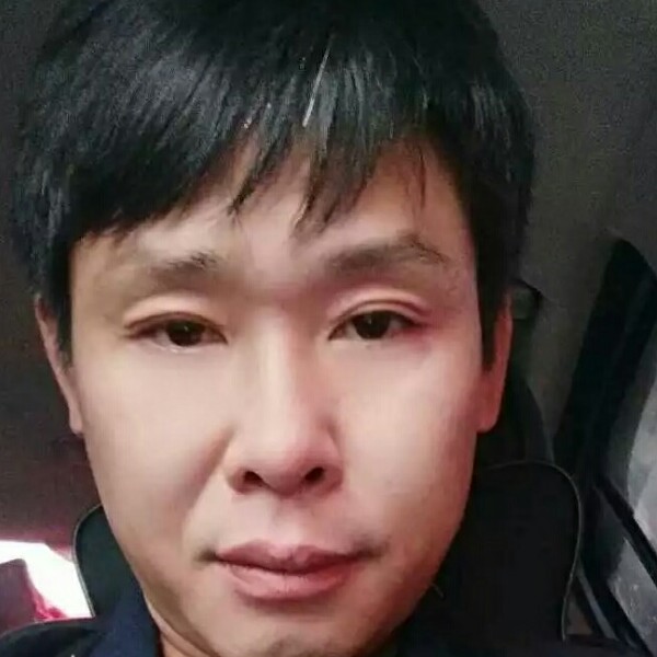 野马狂奔的照片